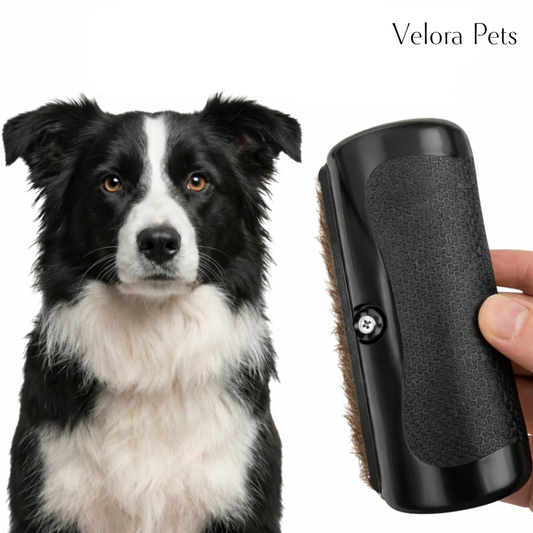 Velora Pets - Pälsborste