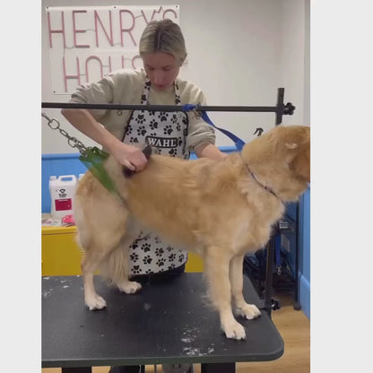 Velora Pets - Pälsborste